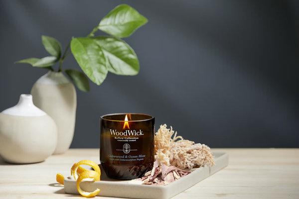 WoodWick Medium ReNew Candle - Cedarwood & Ocean Moss