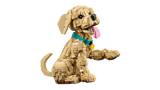 LEGO Golden Retriever Puppy