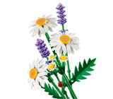 LEGO Botanicals Daisies