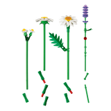 LEGO Botanicals Daisies