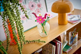 LEGO Botanicals Cosmos Flowers
