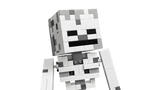 LEGO Minecraft The Skeleton