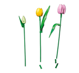 LEGO Botanicals Tulip Bouquet