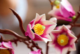 LEGO Botanicals Magnolia Branches