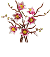 LEGO Botanicals Magnolia Branches