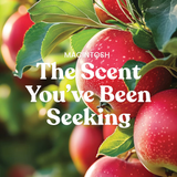 Yankee Candle Original Large Jar Candle - Macintosh