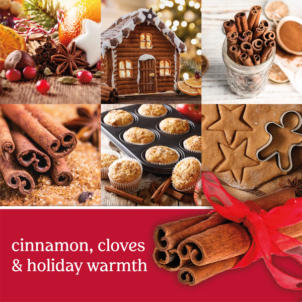 Yankee Candle Original Large Jar Candle - Sparkling Cinnamon