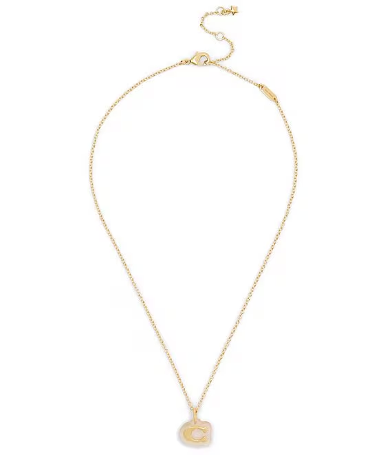 COACH Signature C Lucite Pendant Necklace