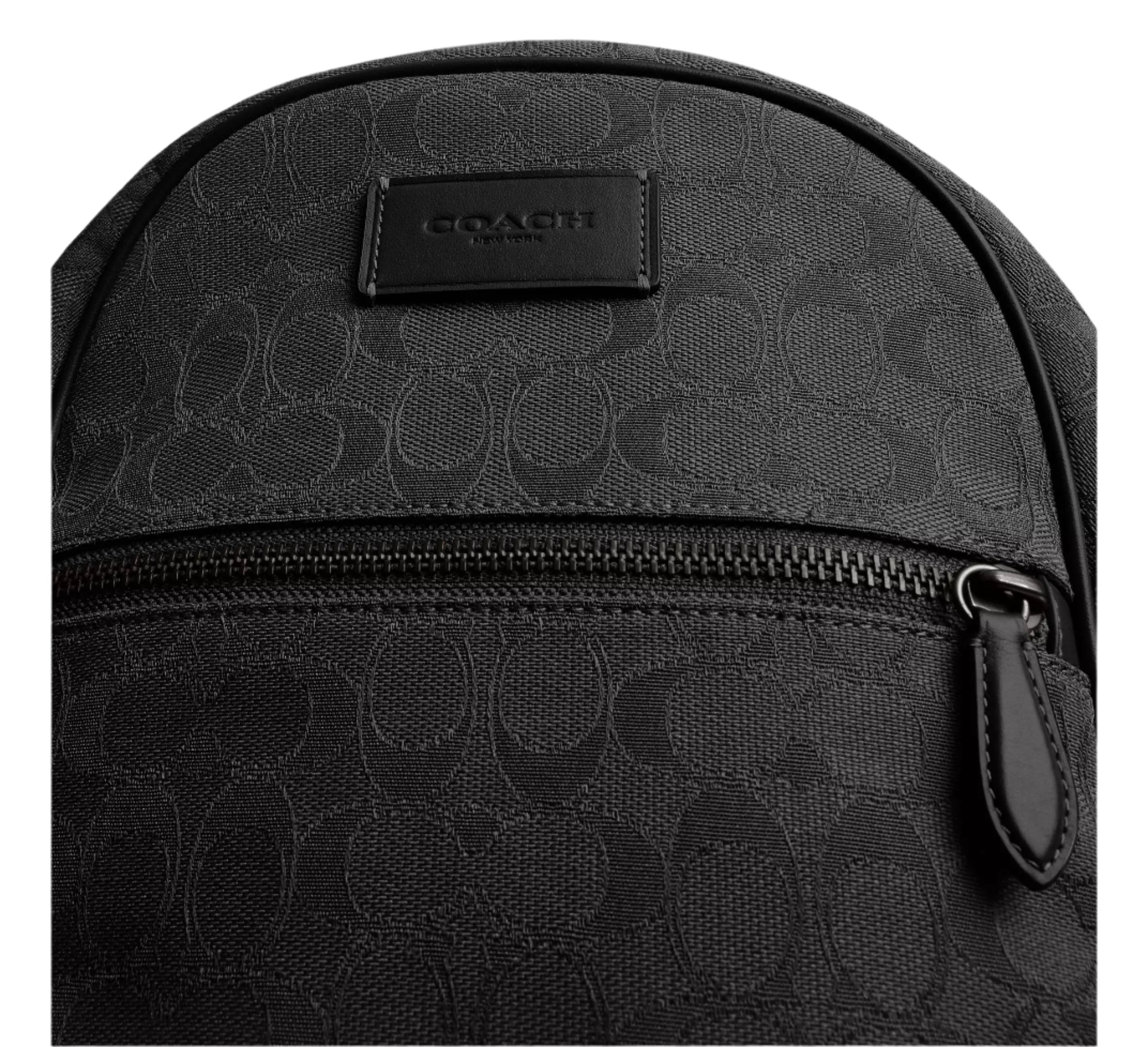 Coach Theo Family Backpack