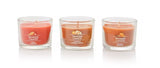 Yankee Candle Pumpkin Season Minis Gift Set - 3 Piece