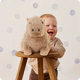 Warmies Capybara Warmies Plush Toy