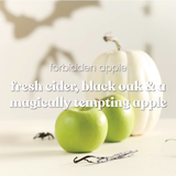 Yankee Candle Original Jar Candle - Forbidden Apple
