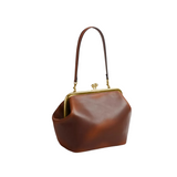 Coach Kisslock Frame 27 Shoulder Handbag
