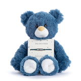 DEMDACO Big Brother Navy Bear