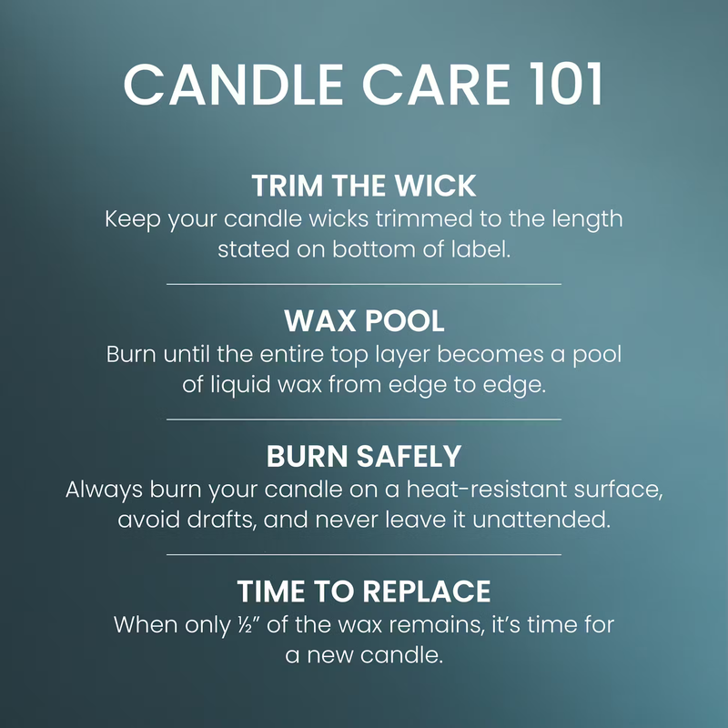 Yankee Candle Original Large Jar Candle - Bayside Cedar