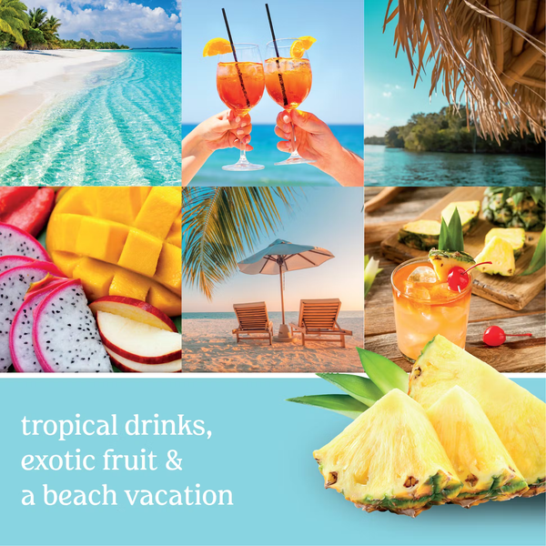 Yankee Candle Original Large Jar Candle - Bahama Breeze