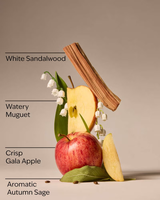 Bath & Body Works Wallflowers Refills - Country Apple - 2-Pack