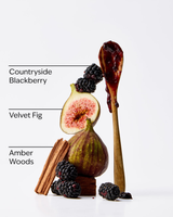 Bath & Body Works Body Wash - Wild Blackberry Jam