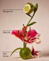 Bath & Body Works Gentle & Clean Foaming Hand Soap - Turquoise Waters