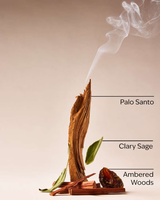 Bath & Body Works Wallflowers Refills - Palo Santo & Sage - 2-Pack