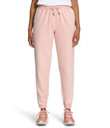 The North Face Womens Half Dome Fleece Sweatpants