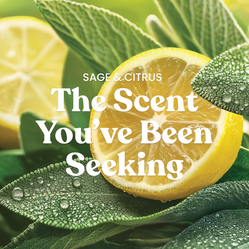 Yankee Candle 3-Wick Candle - Sage & Citrus