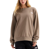 The North Face Womens Evolution Simple Dome Oversize Crewneck Sweatshirt