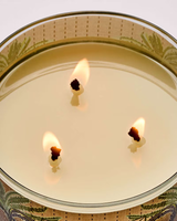 Bath & Body Works 3-Wick Candle - Waikiki Beach Coconut