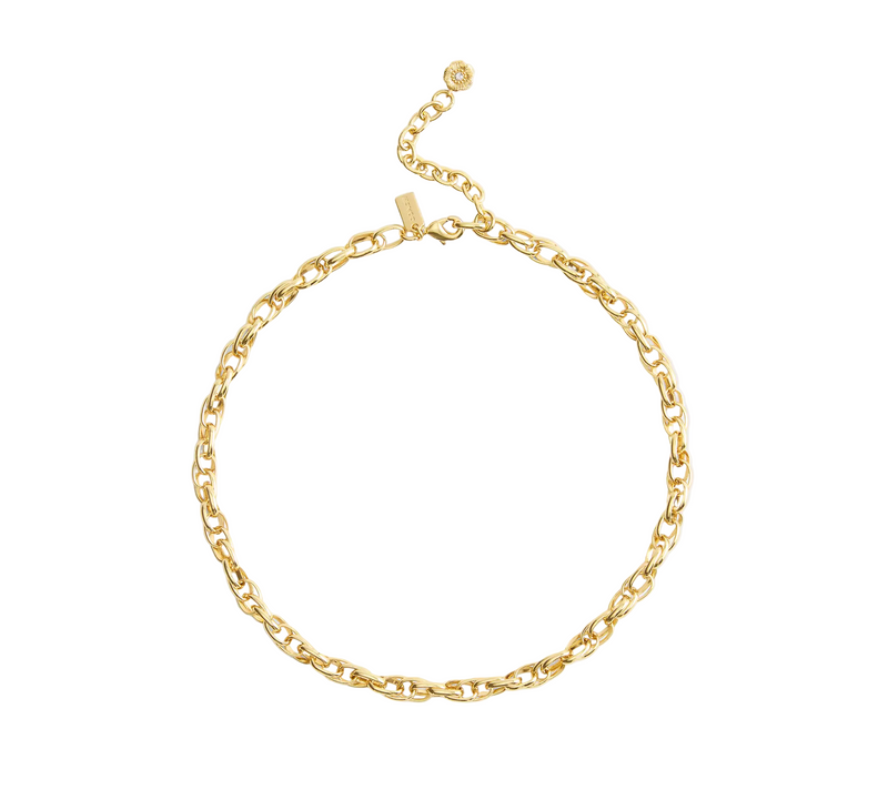 COACH Gold Brushed Link Chain Necklace