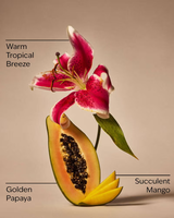 Bath & Body Works Gentle & Clean Foaming Hand Soap - Mango Papaya Paradise