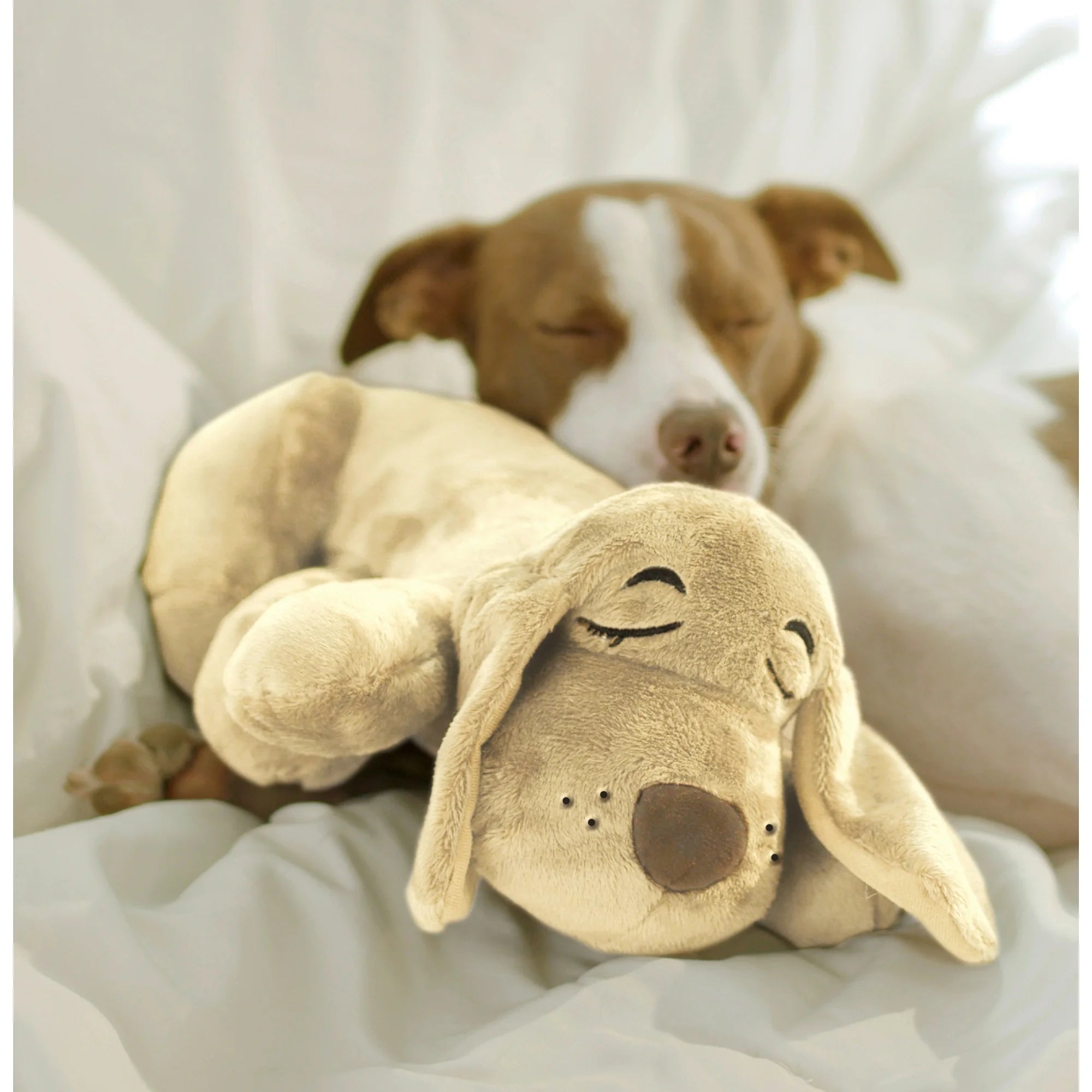 Pets Know Best HuggiePup PlushToy