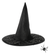 Ganz Stars & Spider Witch Hat