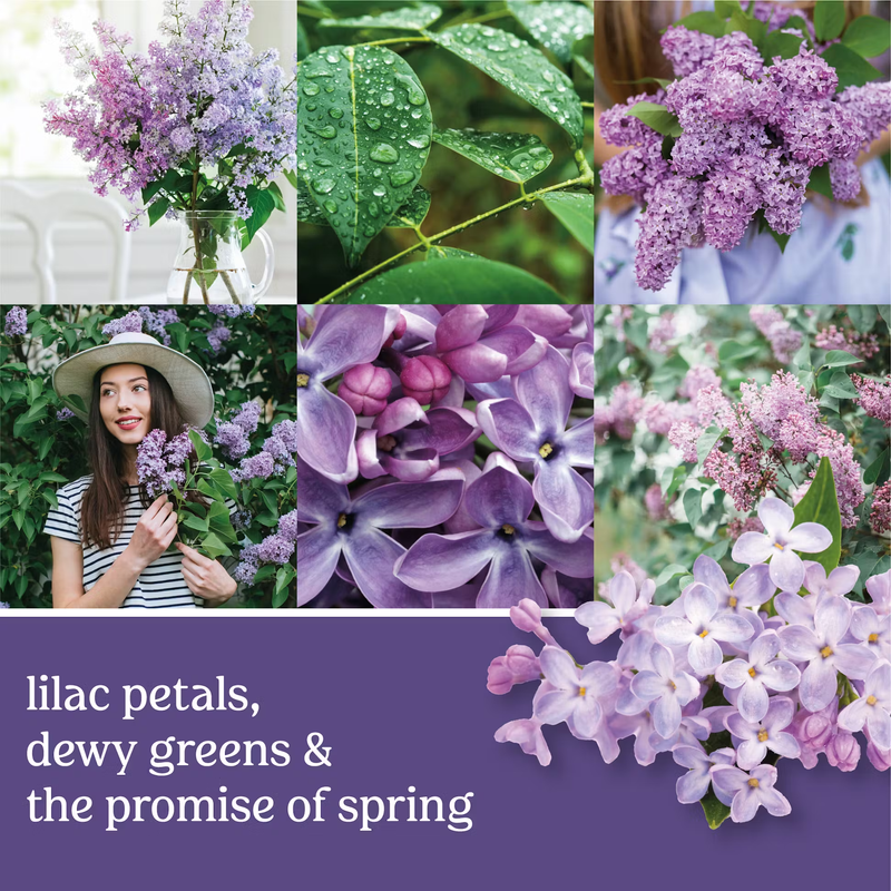 Yankee Candle Concentrated Room Spray - Lilac Blossoms