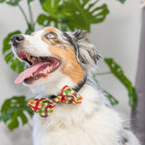 Huxley & Kent Harvest Check Bow Tie - Large