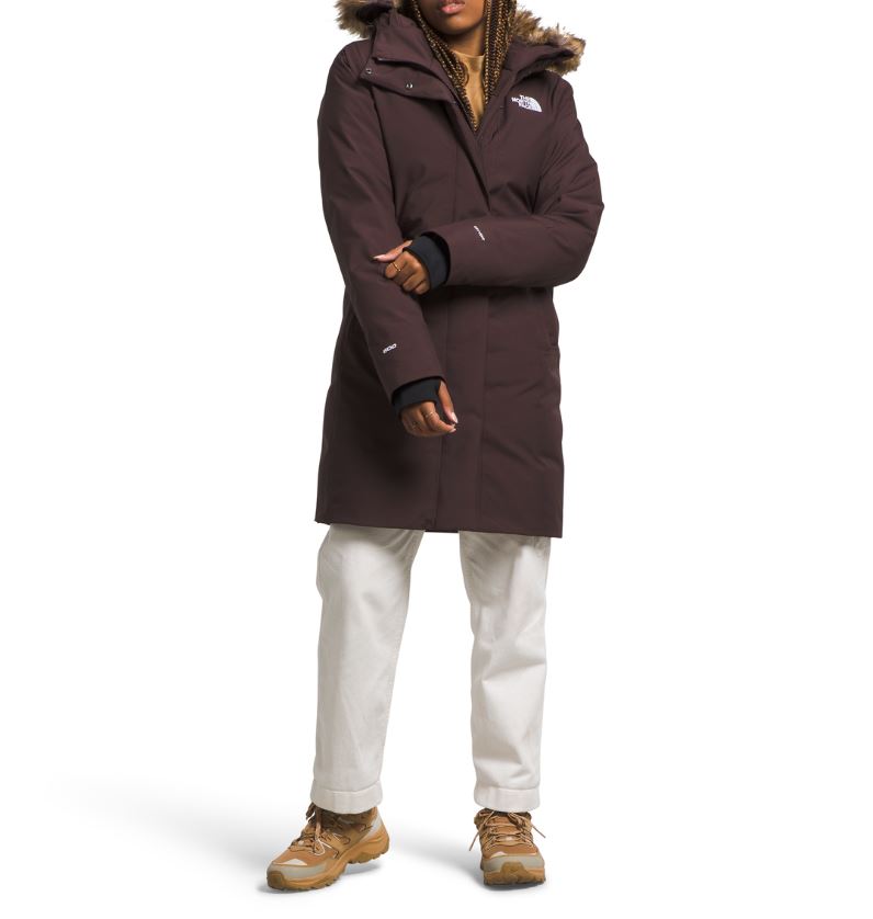 The North Face Womens Arctic Parka