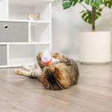 Huxley & Kent Latte My Way Cat Toy