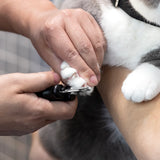 Tweezerman Small Precision Pet Nail Clipper