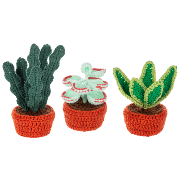 Ganz Crochet Succulent Plant Figurines