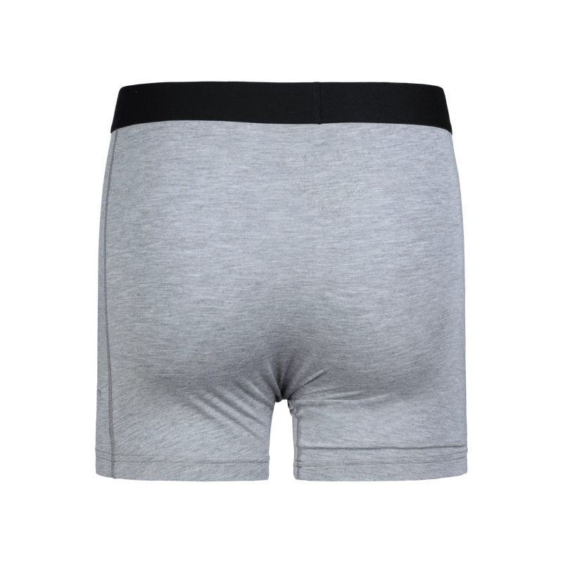 Municipal Mens Underdog Boxer Brief