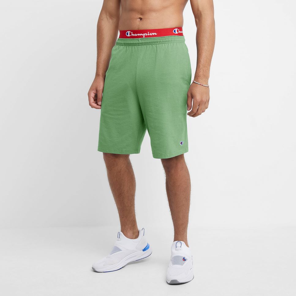 Champion Mens Everyday Cotton Jersey Shorts – ShopCGX