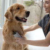 Tweezerman Pet 2-In-1 Shampoo-Dispensing Bath Brush