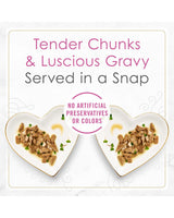 Purina Fancy Feast Petites Seared Salmon Entrée With Spinach In Gravy Wet Cat Food - 2.8 oz.