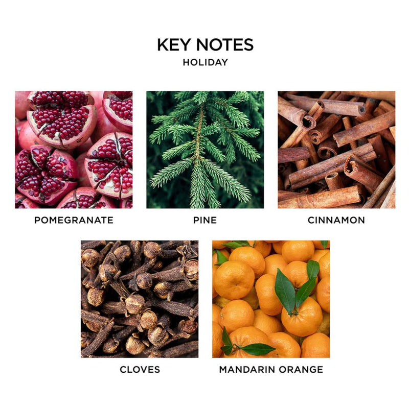 NEST New York Holiday Reed Diffuser