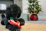 P.L.A.Y. Home for the Holidays Holiday Hauler Dog Toy