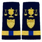 Vangaurd CG Enhanced Shoulder Board Female WO-4 Investigator