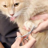 Tweezerman Pet Safety Tip Trimming Scissors