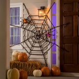 Evergreen Giant Spider Web