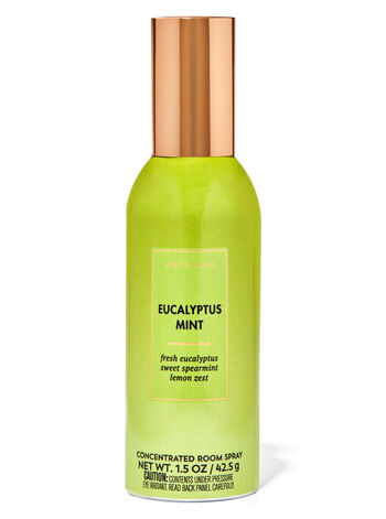 Bath Body Works Room Spray Eucalyptus Mint – ShopCGX