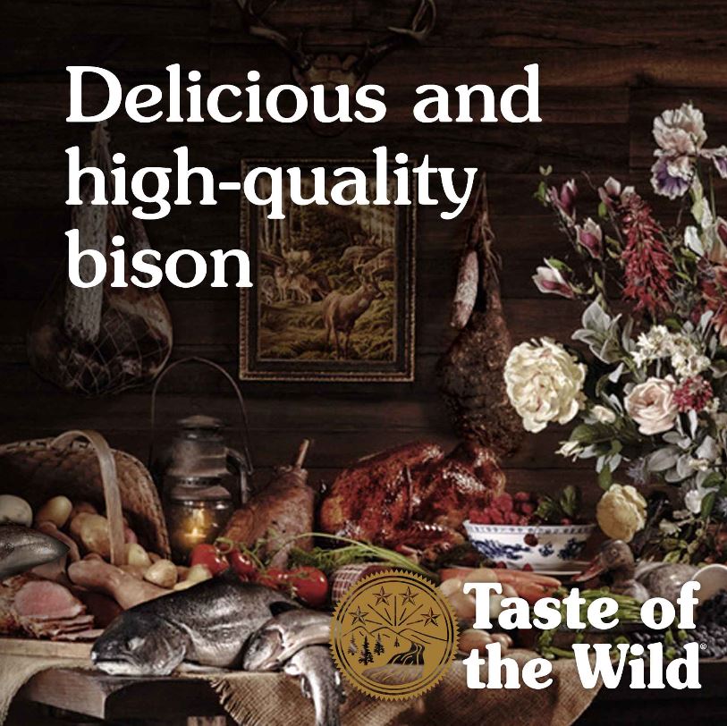 Taste of the Wild High Prairie Canine Formula with Bison in Gravy Wet Dog Food - 13.2 oz.