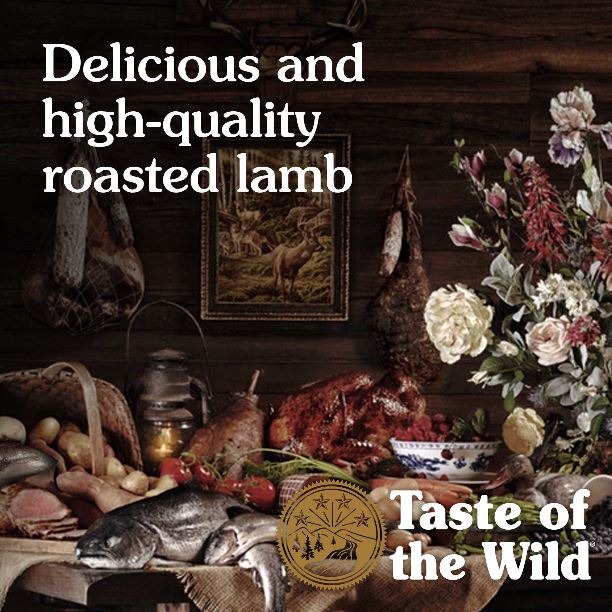 Taste of the Wild Sierra Mountain Canine Recipe with Roasted Lamb Dry Dog Food - 5 lbs.